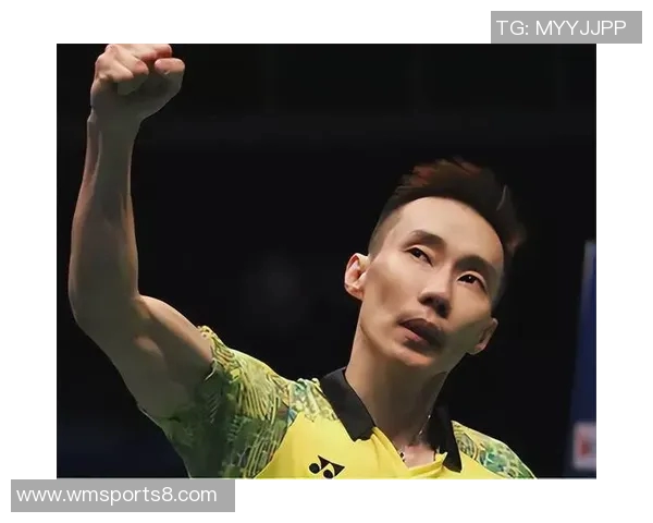 2017年羽毛球巅峰对决林丹李宗伟精彩回顾与赛后分析